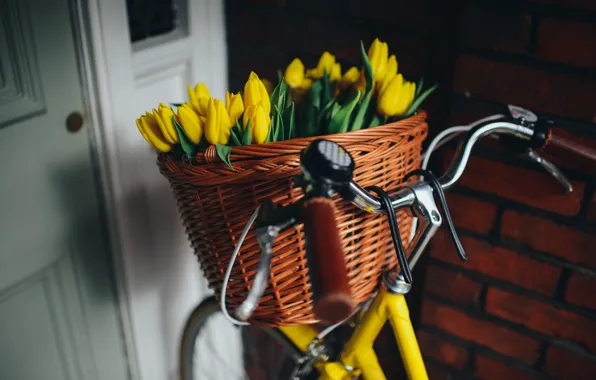 Картинка велосипед, корзина, желтые, тюльпаны