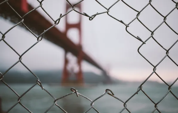 USA, california, ocean, bridge, san francisco, fence, bokeh, golden gate