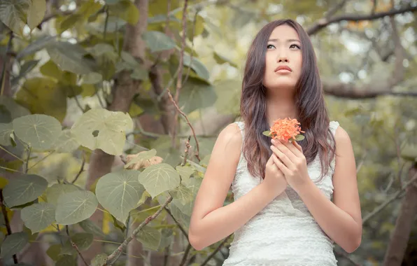 Картинка цветок, модель, Fanny Ng