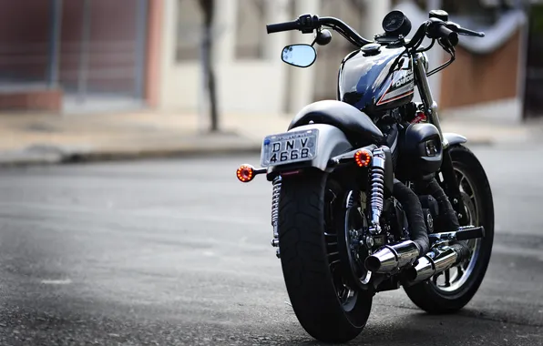 Картинка moto, харлей, мотык, Harley Davidson 883