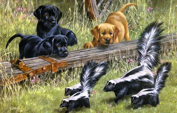 Картинка собаки, щенки, арт, Puppy Le Pu, Roger Cruwys, скунсы