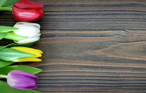 Цветы, colorful, тюльпаны, wood, romantic, tulips