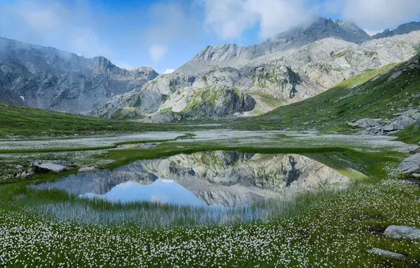 Горы, озеро, скалы, берег, хлопчатник
