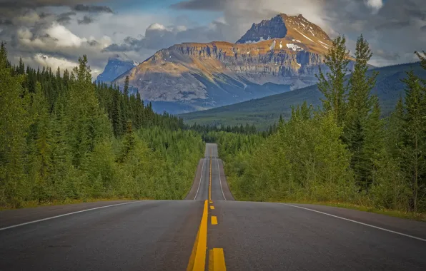 Дорога, лес, деревья, горы, Канада, Canada, Скалистые горы, Rocky Mountains