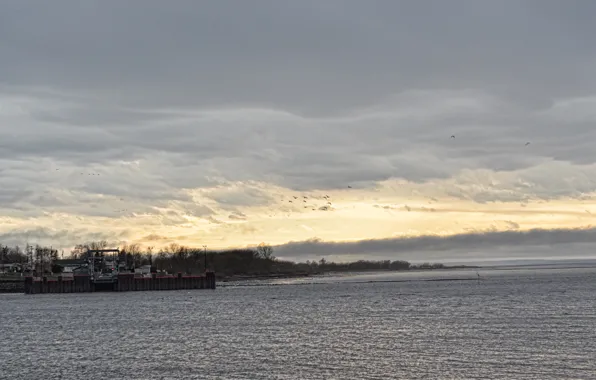 Nature, canada, quebec, montmagny