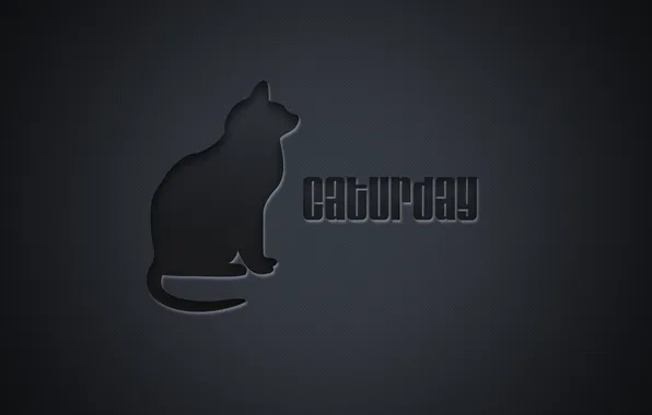 Картинка кошка, кот, надпись, минимализм, minimalism, cat, слово, 1920x1200
