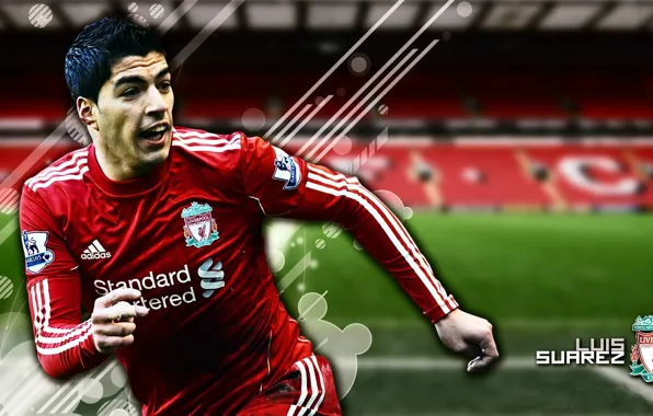 Wallpaper, sport, stadium, football, Liverpool FC, Anfield Road, player, Luis Suarez