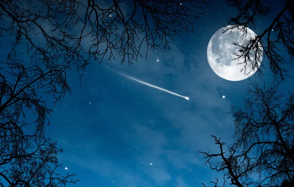 Ночь, комета, полнолуние, night, full moon, comet