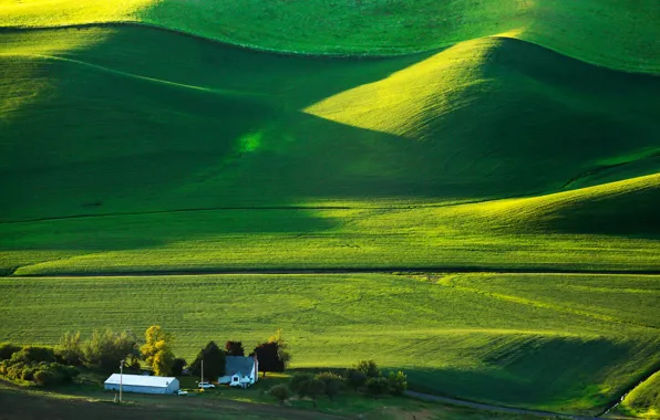 Картинка зелень, поле, солнце, холмы