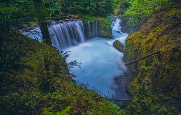 Лес, река, водопад, Columbia River Gorge, Washington State, Little White Salmon River, Spirit Falls, Ущелье …