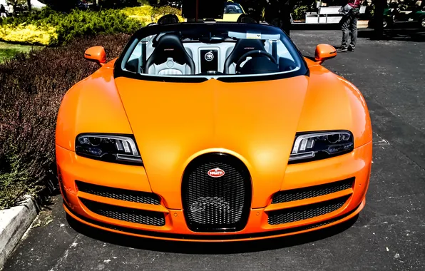 Картинка veyron, bugatti, orange