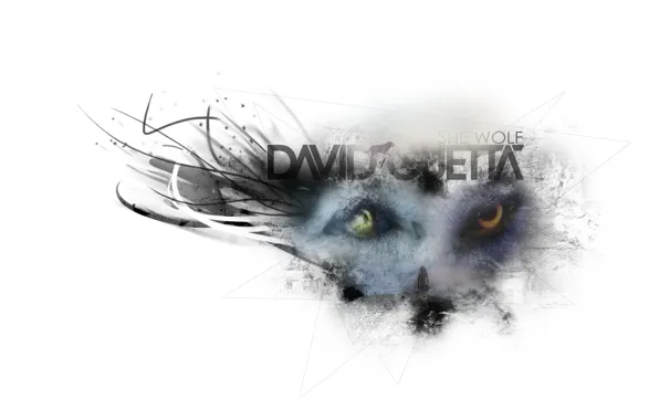 Music, Wolf, David Guetta