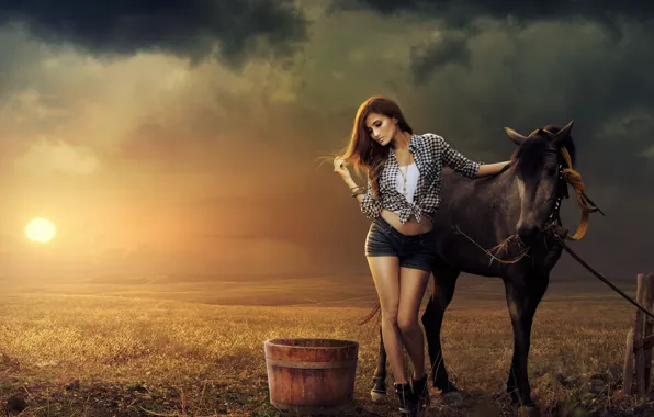 Картинка поле, солнце, лошадь, Девушка