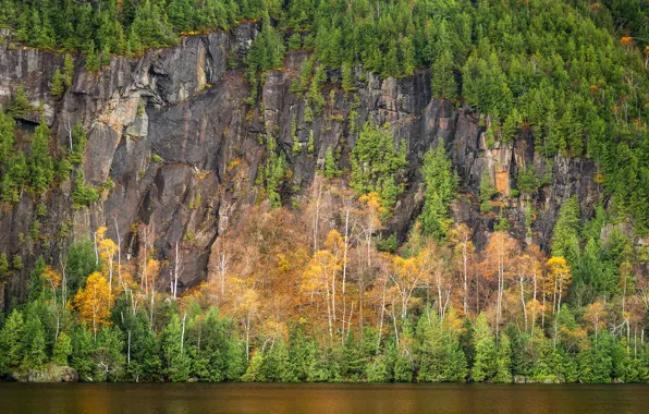 Картинка деревья, скала, озеро, гора