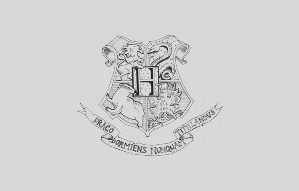Фигура Гарри Поттер герб Хогвартса (27