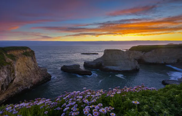 Картинка пейзаж, закат, цветы, природа, океан, скалы, Калифорния, США