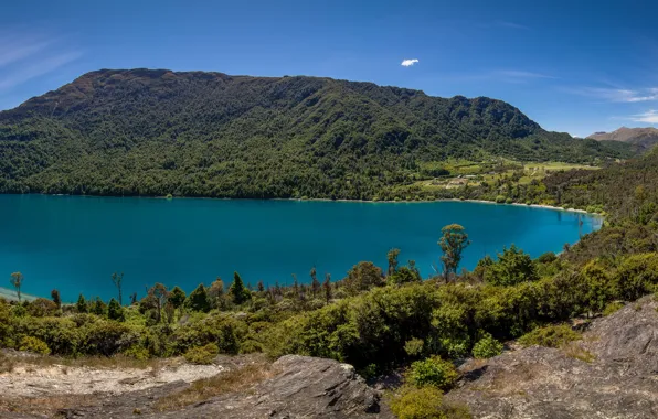 Картинка озеро, Новая Зеландия, холм, панорама, New Zealand, Lake Wakatipu, озеро Уакатипу, полуостров
