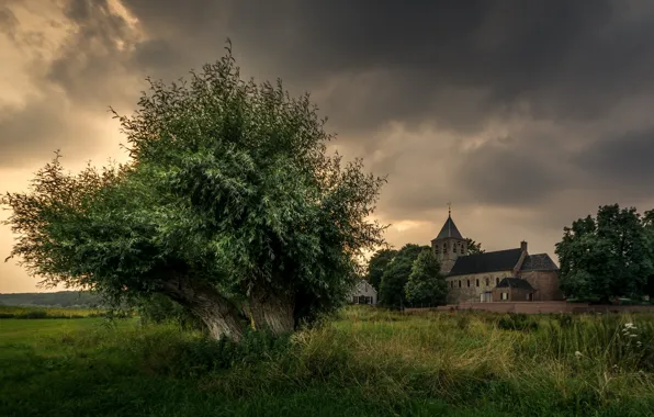 Картинка дерево, Нидерланды, Голландия, Oosterbeek, старая церковь