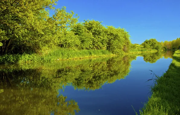 Картинка деревья, пейзаж, канал