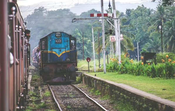 Локомотив, Индия, Гравий, India, Locomotive, Gravel, Railway line, Железнодорожная линия