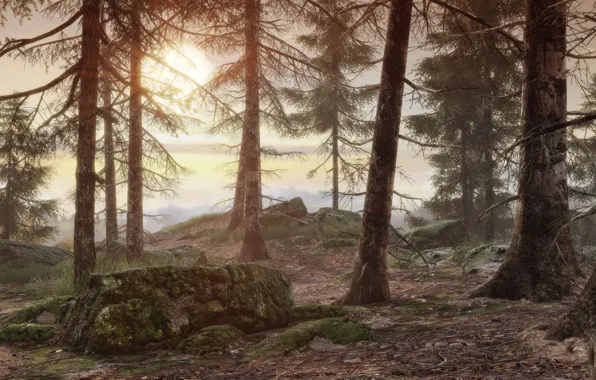 Game, forest, Nintendo, Syberia 3, Syberia, Benoît Sokal