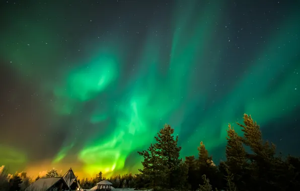 Картинка зима, звезды, деревья, дома, красота, северное сияние