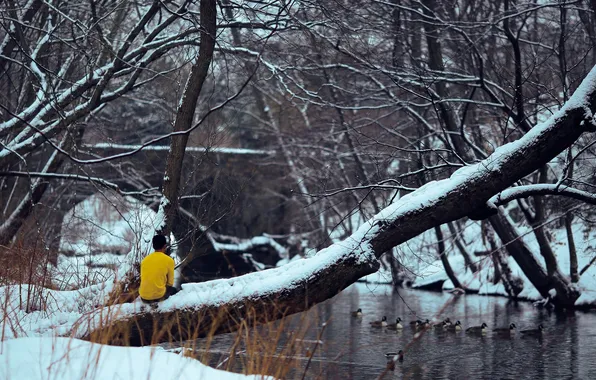Картинка river, trees, bridge, winter, snow, man, back, branches