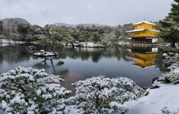 Картинка снег, озеро, Kyoto, photographer, Kenji Yamamura, Kinkaku Temple, золотой храм