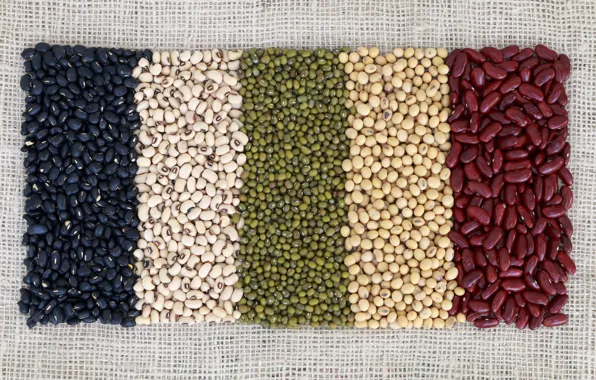 Colors, beans, variety