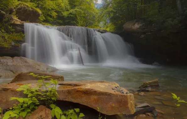 Картинка вода, деревья, природа, камни, растительность, водопад