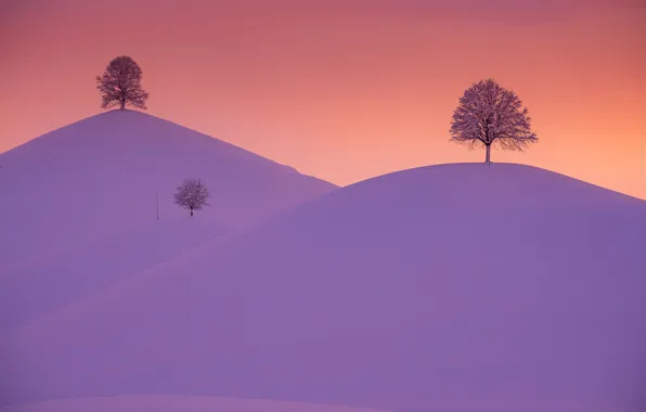 Картинка зима, небо, снег, деревья, закат, холмы, Швейцария, Switzerland