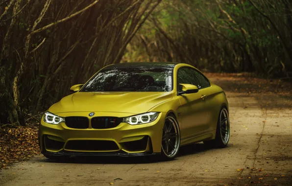 BMW, BMW M4, Austin Yellow, BMW M4 Coupe Austin Yellow