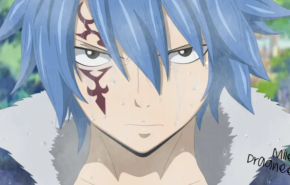 Взгляд, парень, Fairy Tail, Хвост феи