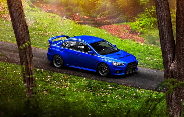 Дорога, трава, листья, деревья, синий, природа, река, Mitsubishi Lancer Evolution