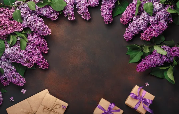 Цветы, подарок, wood, flowers, сирень, lilac, frame, gift box