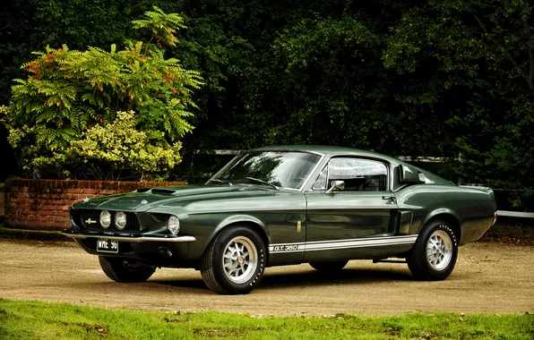 Ford, Shelby, форд, шелби, 1967, GT350