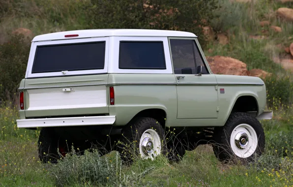 Картинка Ford, 2018, в поле, Bronco, ICON Old School BR