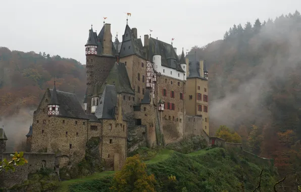 Elz Castle, средневековая архитектура, замок Эльц, Germany, туман, Германия, деревья, небо