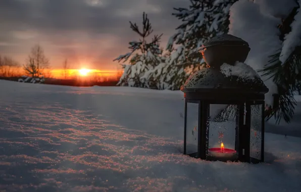 Картинка зима, солнце, лучи, снег, деревья, пейзаж, природа, рассвет