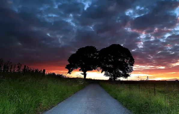 Картинка дорога, деревья, пейзаж, закат