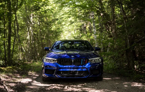 Картинка BMW, Blue, Front, Forest, Sight, F90