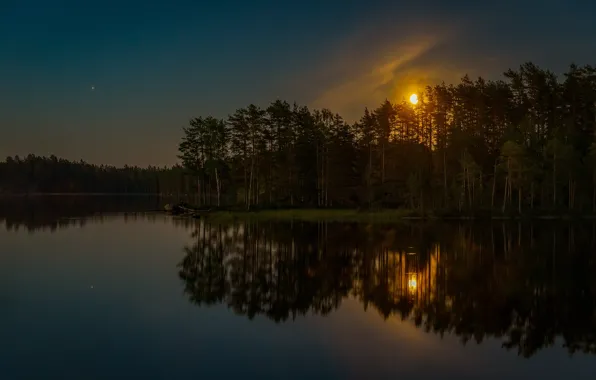 Лес, небо, звезды, облака, свет, деревья, ночь, озеро