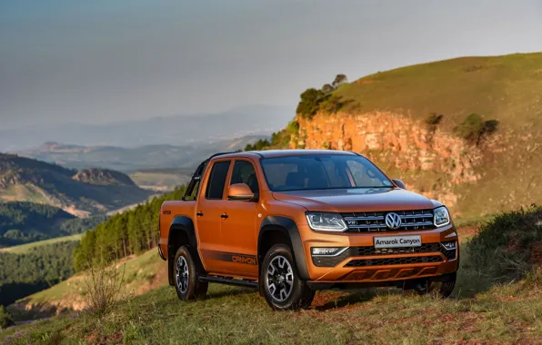 Растительность, склон, Volkswagen, пикап, Amarok, Canyon, 2019