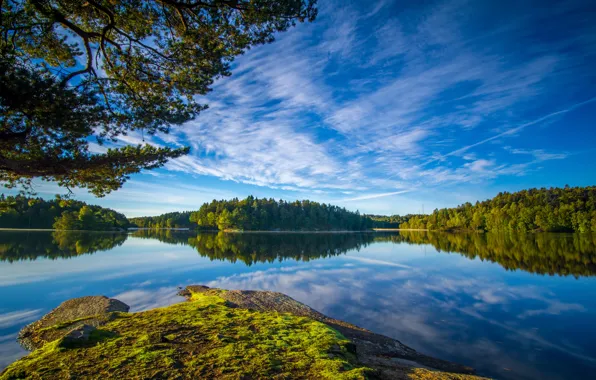 Картинка небо, ветки, Швеция, леса, Sweden, озёра, Гётеборг, Gothenburg