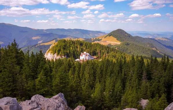 Лес, облака, горы, туман, дом, камни, обрыв, скалы