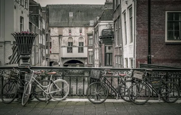 Holland, Dordrecht, Bicycles