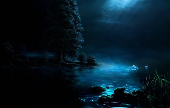 Картинка ночь, озеро, лебедь, Fel-X