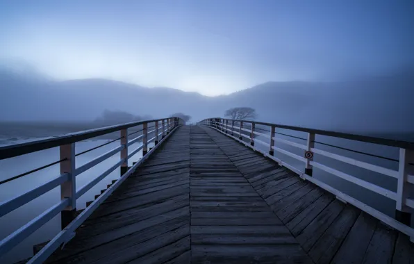 Картинка мост, туман, озеро, утро
