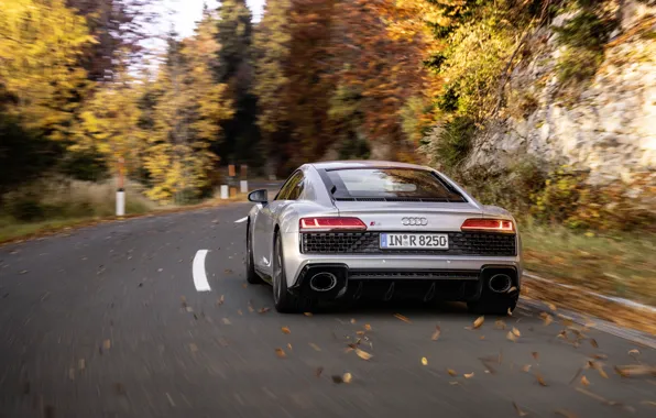 Осень, Audi, скорость, суперкар, Audi R8, вид сзади, Coupe, V10