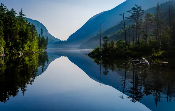 Лес, небо, деревья, горы, озеро